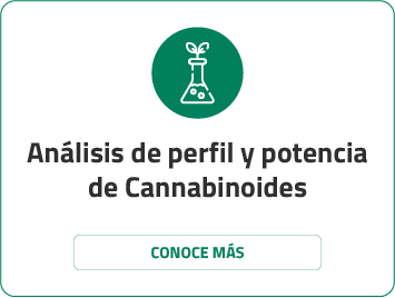 Análisis de perfil y potencia de Cannabinoides hoover